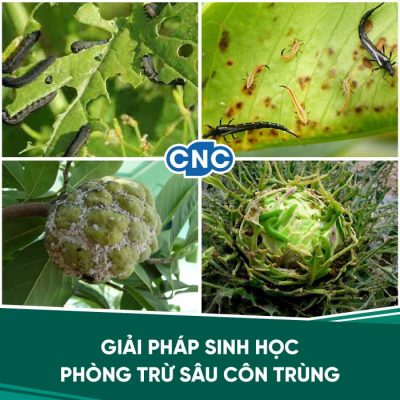 Thuốc trừ sâu sinh học Thuốc trừ sâu sinh học
