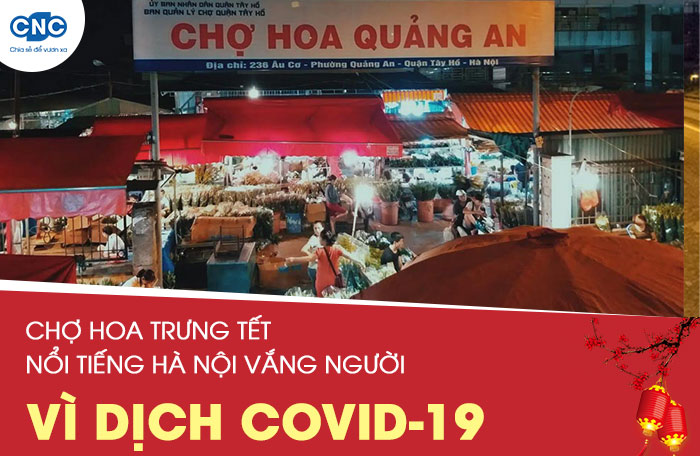 Chợ hoa trưng tết Tân Sửu tại Hà Nội vắng bóng người vì dịch covid 19