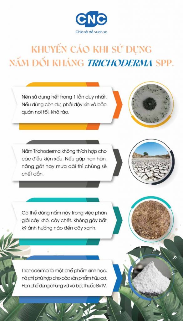 Khuyến cáo khi sử dụng nấm Trichoderma