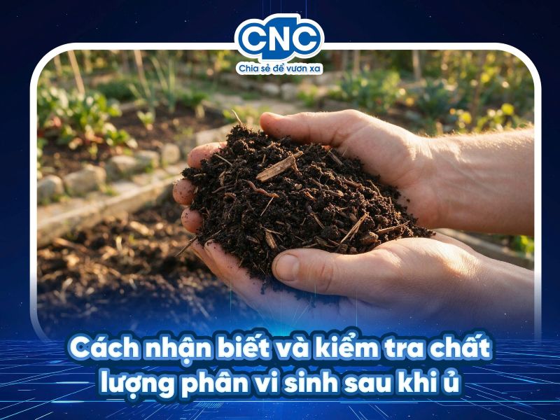 Cách nhận biết và kiểm tra chất lượng phân vi sinh sau khi ủ