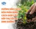 Hướng dẫn cách bón phân đúng cách giúp cây hấp thụ tối đa dinh dưỡng