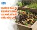 Hướng dẫn tự ủ phân vi sinh tại nhà từ rác thải hữu cơ