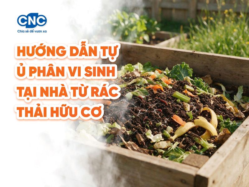 Hướng dẫn tự ủ phân vi sinh tại nhà từ rác thải hữu cơ
