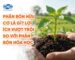 Phân bón hữu cơ là gì? Lợi ích vượt trội so với phân bón hóa học