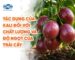 Tác dụng của Kali đối với chất lượng và độ ngọt của trái cây